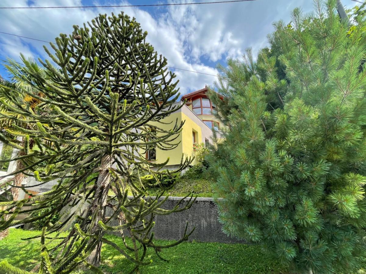 Apartma 7 - In The Heart Of Soca Valley Tolmin Εξωτερικό φωτογραφία